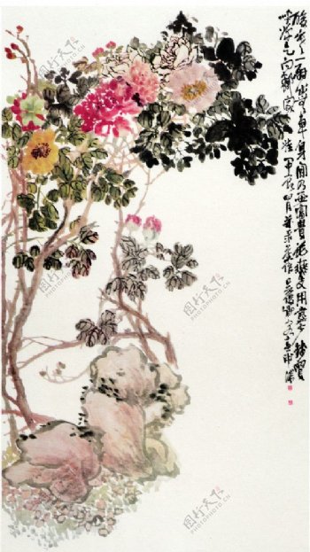 吴昌硕国画牡丹图片