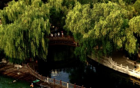 桥在绿树碧水间图片