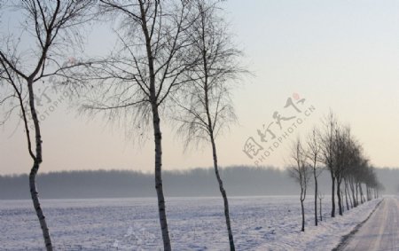 乡村冬天图片