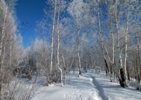 冬天五峰山风景图片