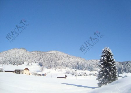 雪山中的小房子图片