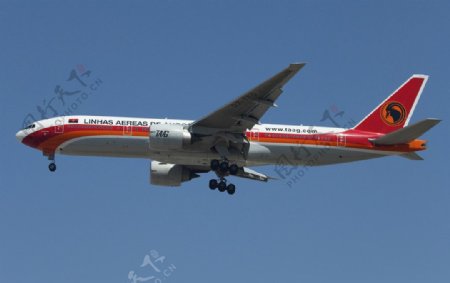 安哥拉航空公司图片