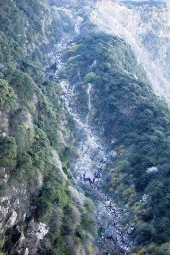 如画的泰山过道风景图片