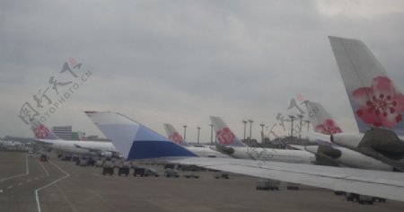 台湾桃园机场图片
