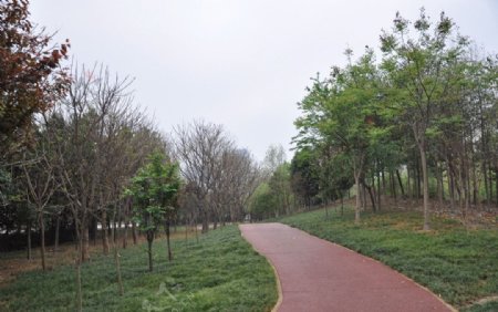 公园绿道图片