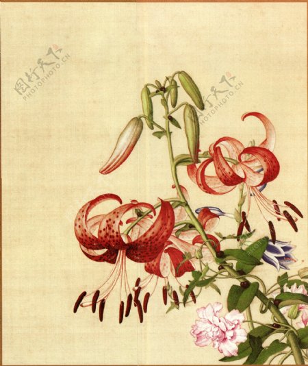 百合花与缠枝牡丹古画图片