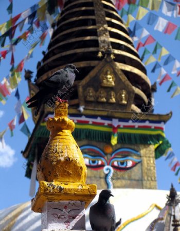 西藏寺庙图片