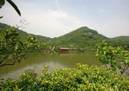 杭州八卦田遗址公园图片