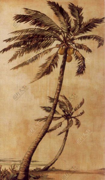 手绘画装饰画椰树图片