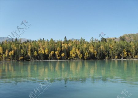 新疆喀纳斯湖面图片