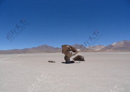 沙漠雕塑图片