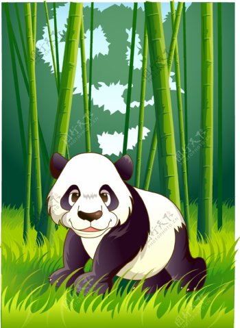 可爱动物绿色森林熊猫图片