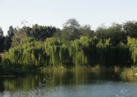 烟台福山生态园图片