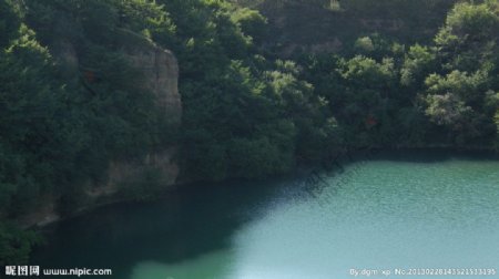 大自然风景风光植物图片