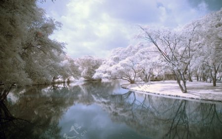 冬季河流图片
