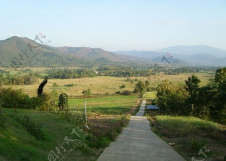 田园风光图片