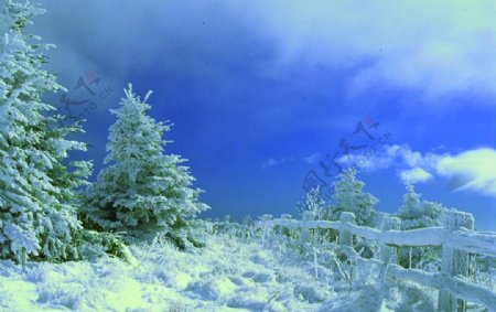 冰雪世界雪山风景图片