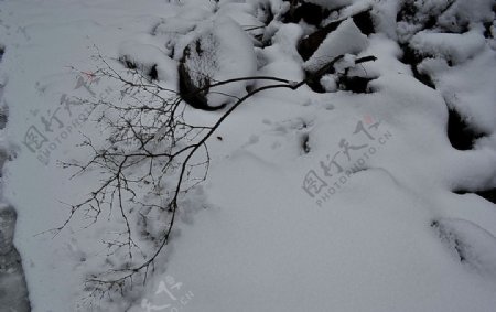 泗沟的雪图片