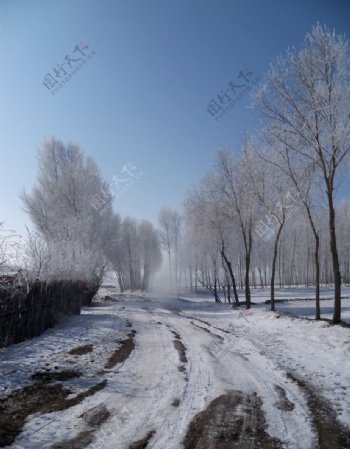 乡村冬季雪景图片