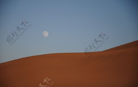 沙漠明月图片
