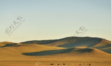 大草原上的山丘图片