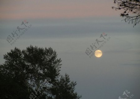 清晨月亮图片