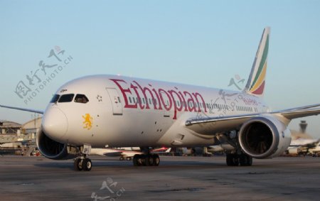 埃塞俄比亚航空公司图片