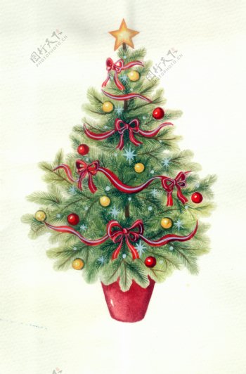 水彩圣诞树图片