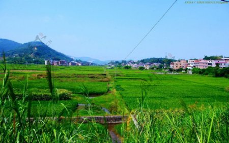 梅州山水田园风光图片