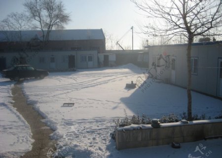 雪后的风景图片