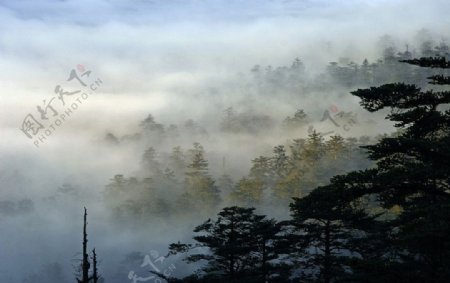 七里坪云景图片