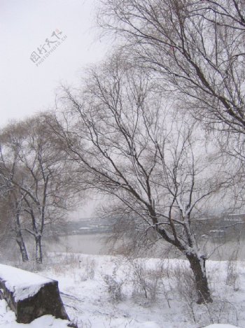 雪景图片