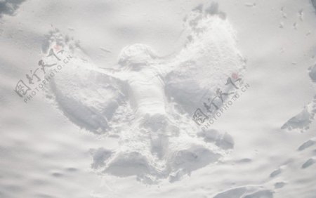 雪地摆成的飞鹰图片
