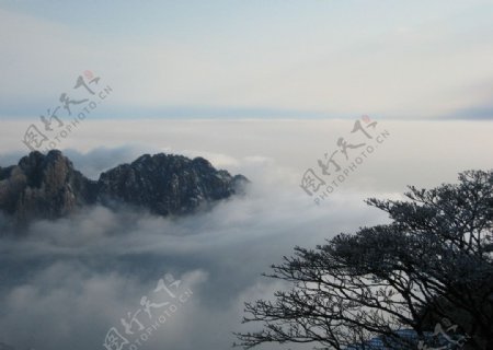 冬天云雾黄山图片