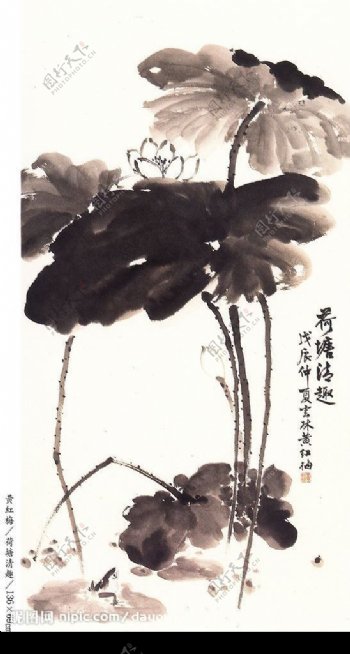 黄红梅国画荷塘清趣图片