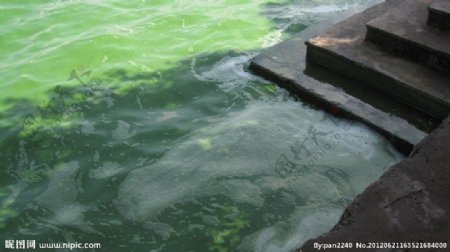 滇池蓝藻图片