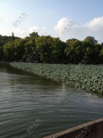 西湖美景图片