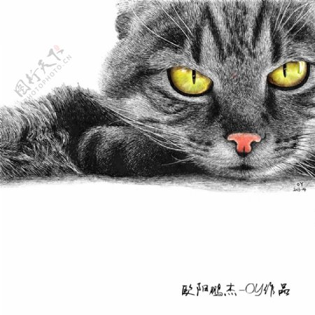 圆珠笔绘画猫图片
