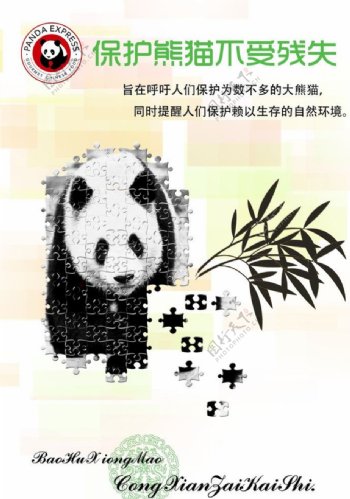 保护熊猫图片