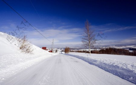 积雪的道路图片