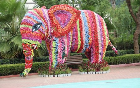 温州乐园小旅游大象图片
