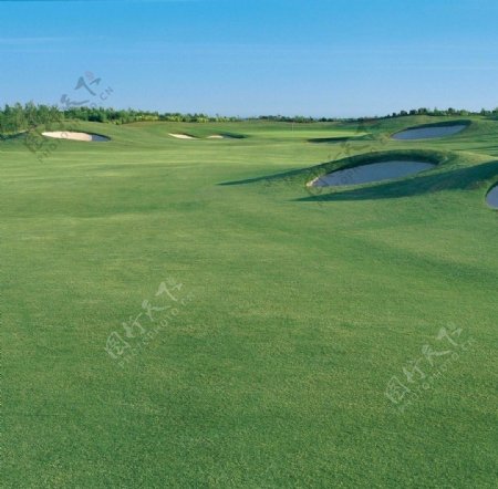 高尔夫球场美丽平坦草坪图片