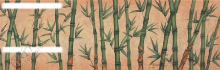 高清大幅竹子素材图片