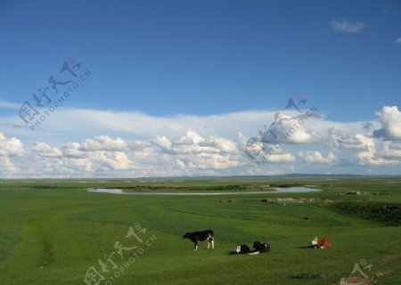 草原风景图片