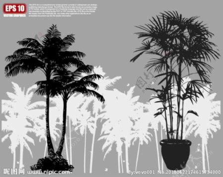 棕榈树矢量剪影图片