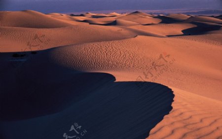 沙漠1图片