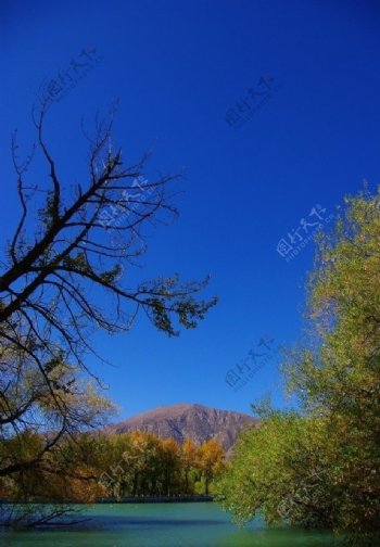 新疆风景秋图片