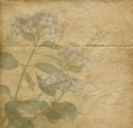 复古花朵背景图片