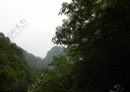秦岭山水图片