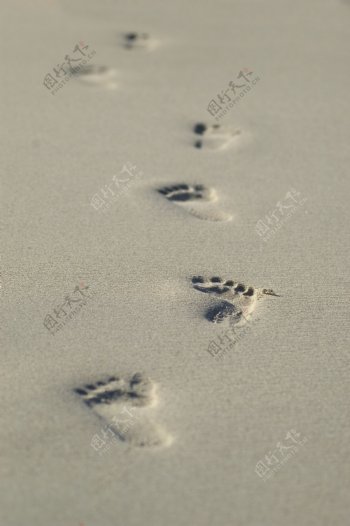 沙滩上的小脚印图片